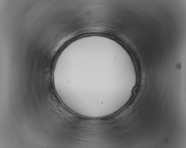 X0000114401210200911131358