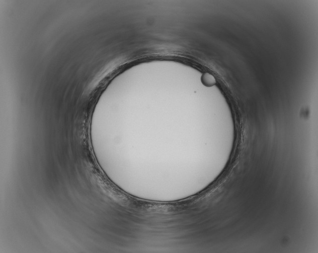 X0000114401211200911131358