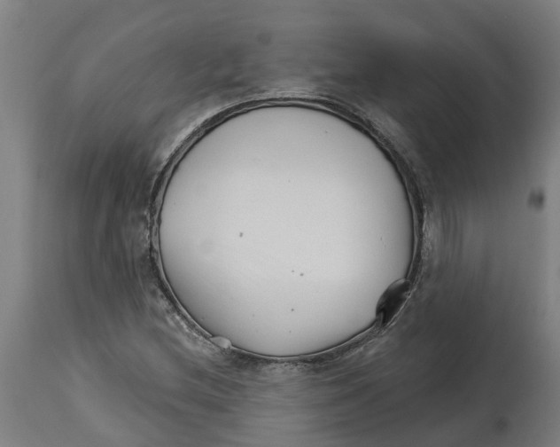 X0000114401212200911131358