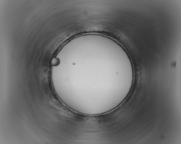 X0000114401217200911131358