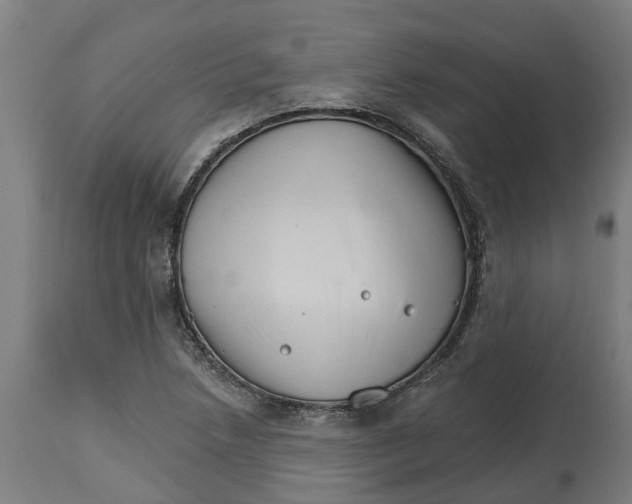 X0000114401218200911131358