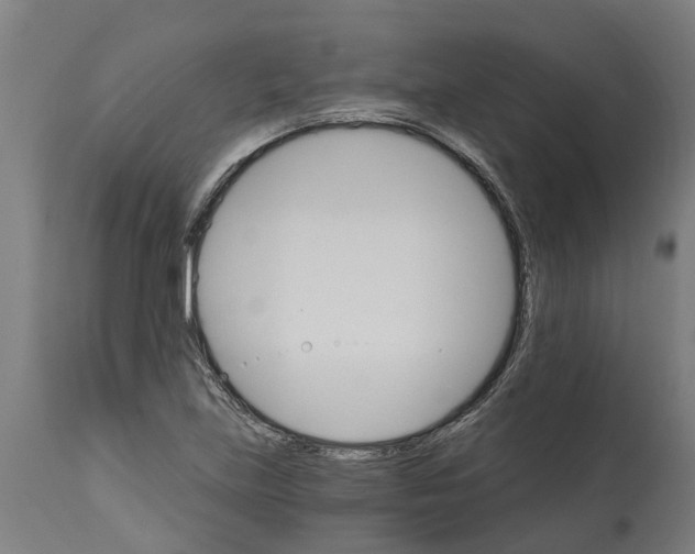 X0000114401219200911131358