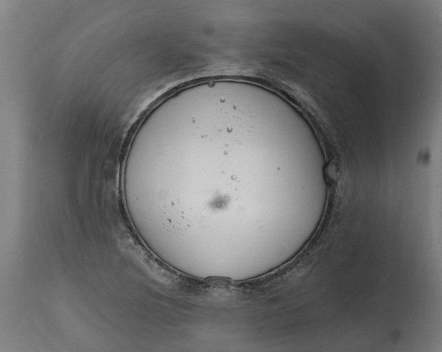 X0000114401220200911131358