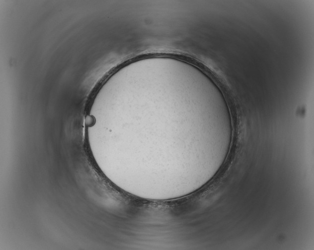 X0000114401221200911131358