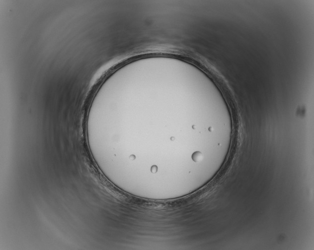 X0000114401222200911131358