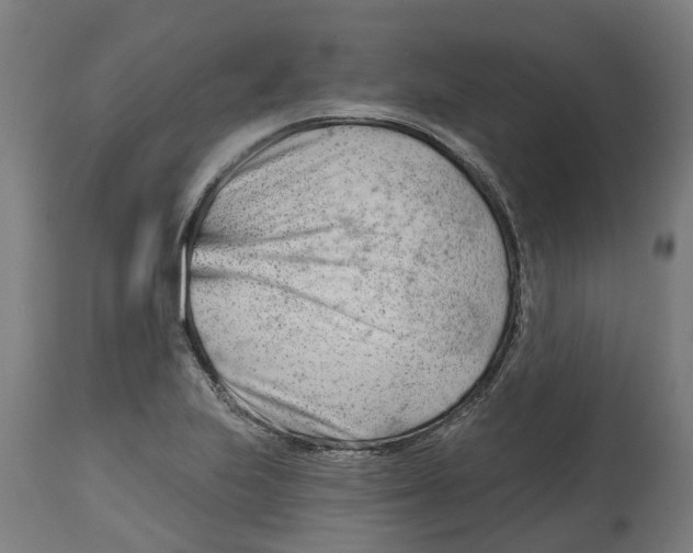 X0000114401223200911131358