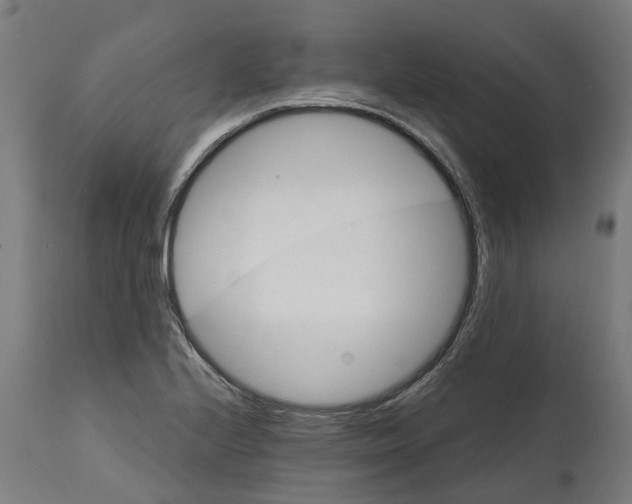 X0000114401224200911131358