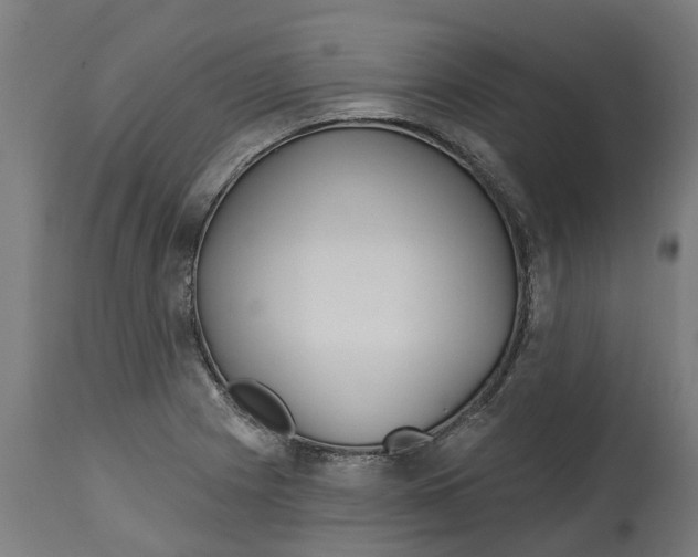 X0000114401225200911131358