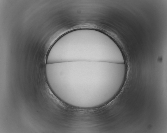 X0000114401228200911131358