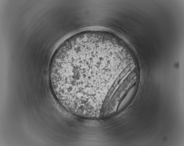 X0000114401229200911131358