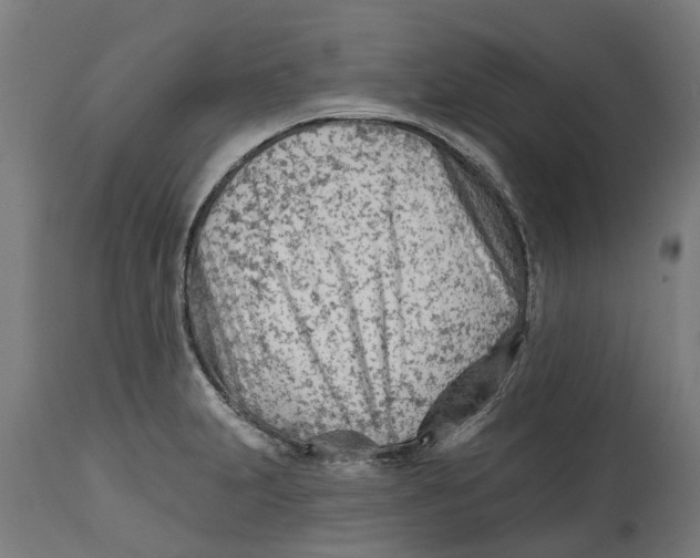 X0000114401231200911131358