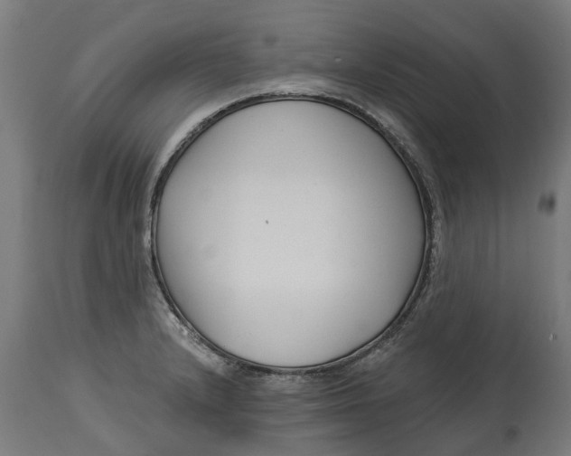 X0000114401232200911131358