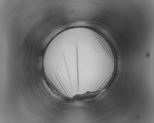 X0000114401233200911131358