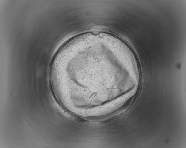 X0000114401235200911131358