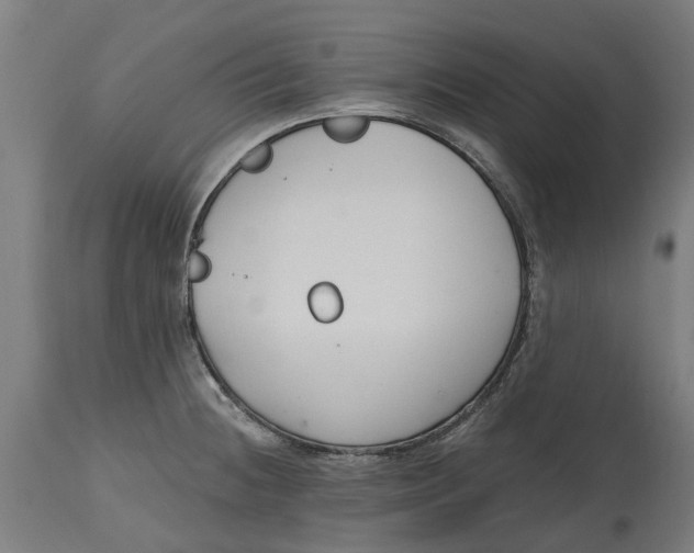 X0000114401236200911131358