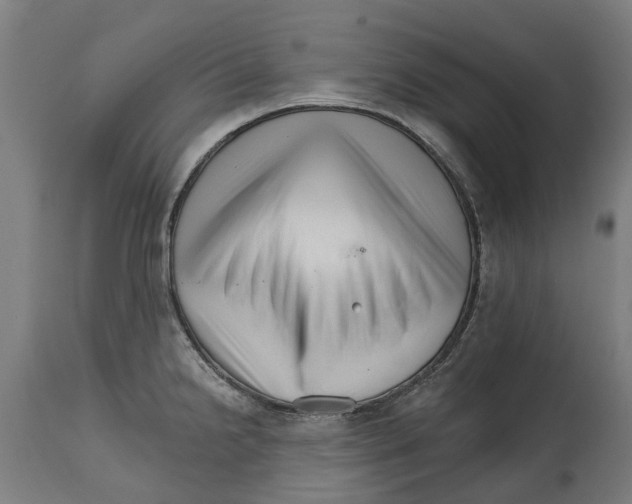 X0000114401238200911131358