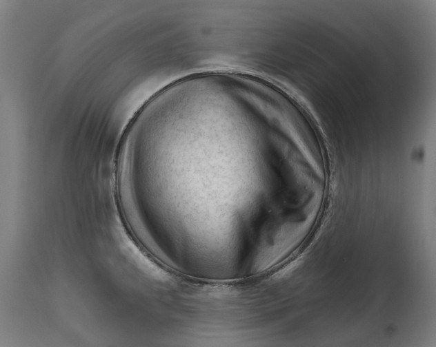 X0000114401239200911131358