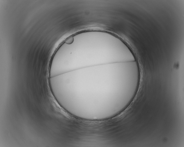 X0000114401240200911131358