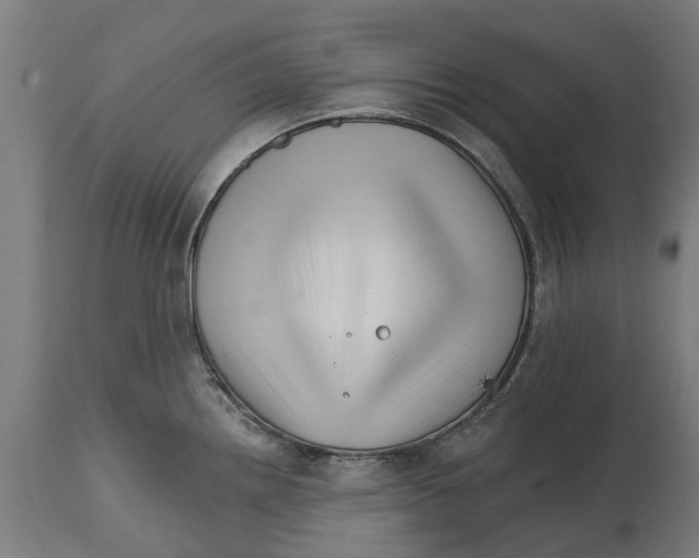 X0000114401242200911131358