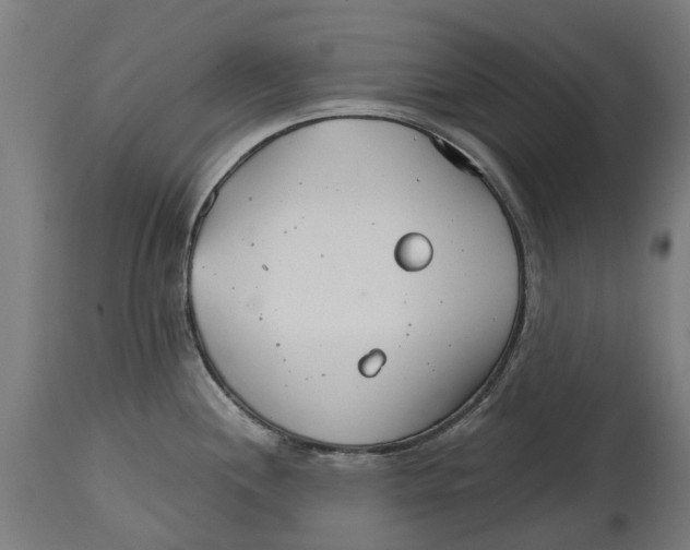 X0000114401244200911131358