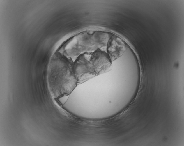 X0000114401245200911131358