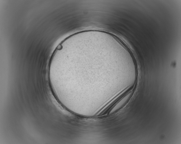 X0000114401246200911131358