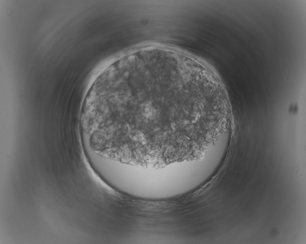 X0000114401247200911131358