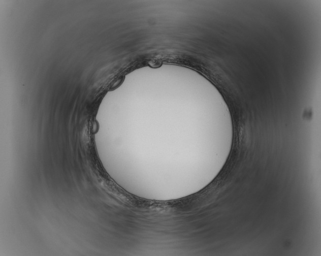 X0000114401250200911131358