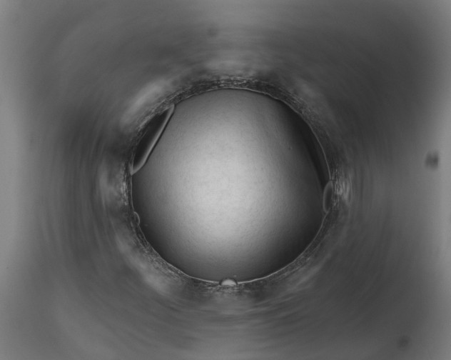 X0000114401252200911131358