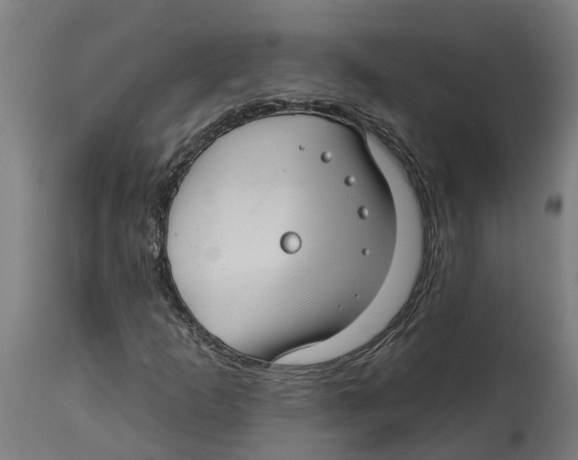 X0000114401253200911131358