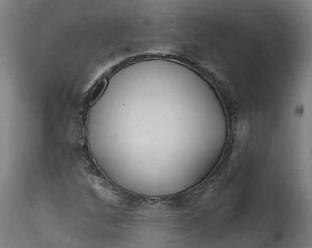 X0000114401256200911131358