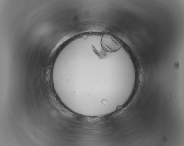 X0000114401258200911131358