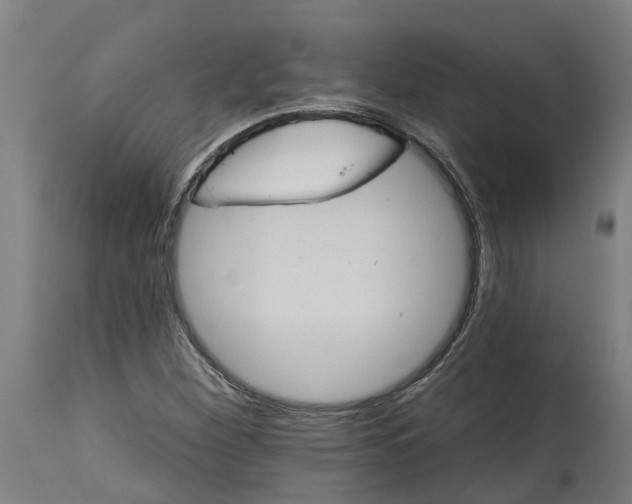 X0000114401260200911131358