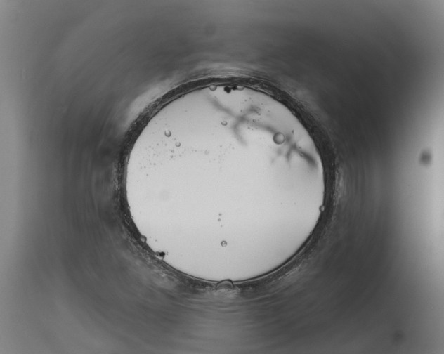 X0000114401261200911131358