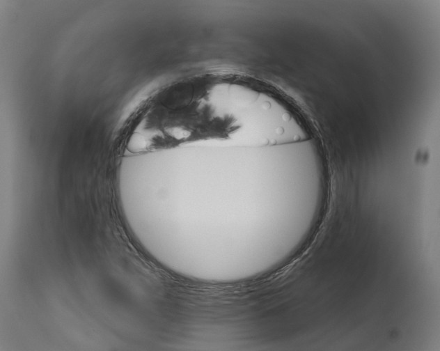 X0000114401263200911131358