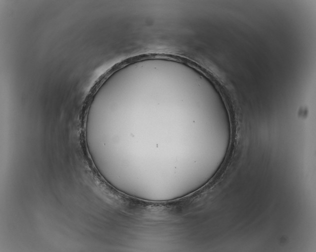 X0000114401264200911131358