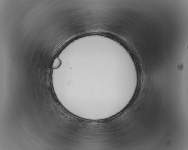 X0000114401265200911131358