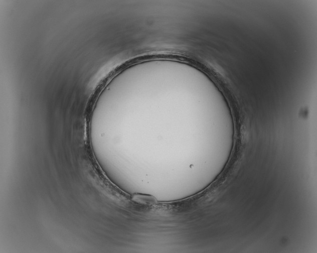 X0000114401267200911131358