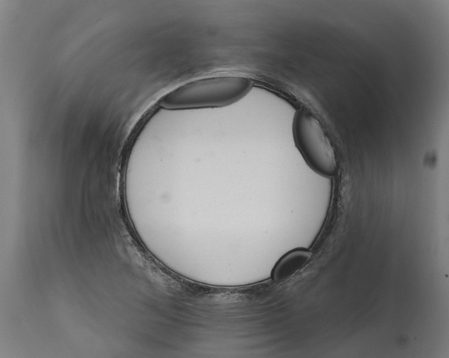 X0000114401268200911131358