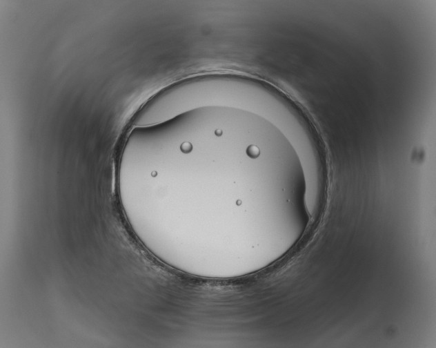 X0000114401269200911131358