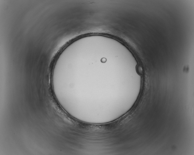 X0000114401270200911131358