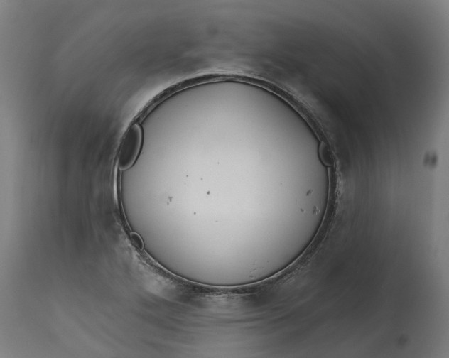 X0000114401272200911131358