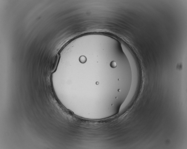 X0000114401273200911131357