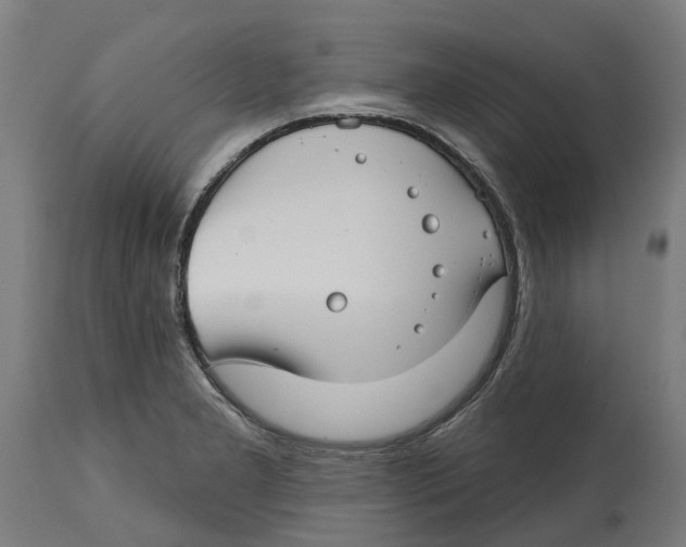 X0000114401277200911131357