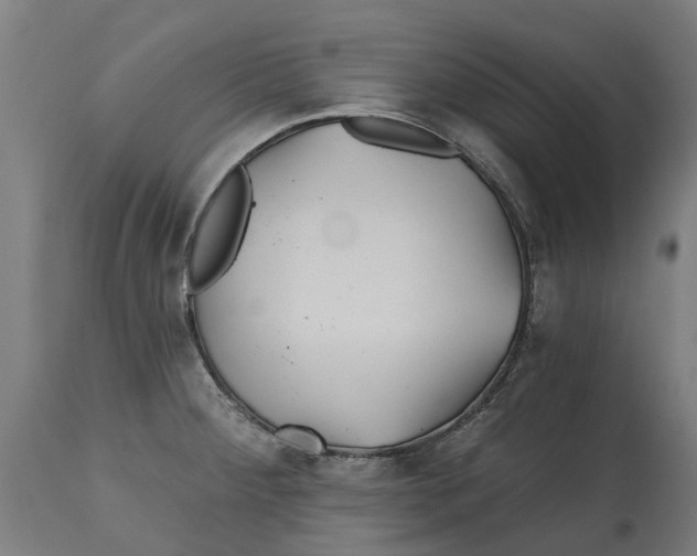 X0000114401284200911131357