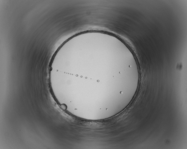 X0000114401287200911131357