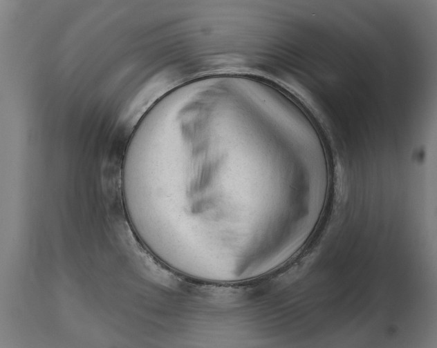 X0000114401289200911131357