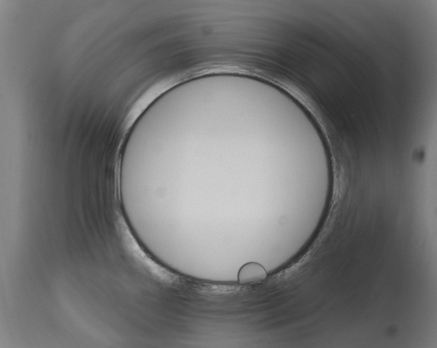 X0000114401290200911131357