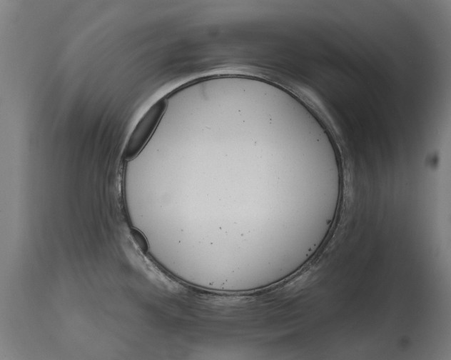 X0000114401292200911131357