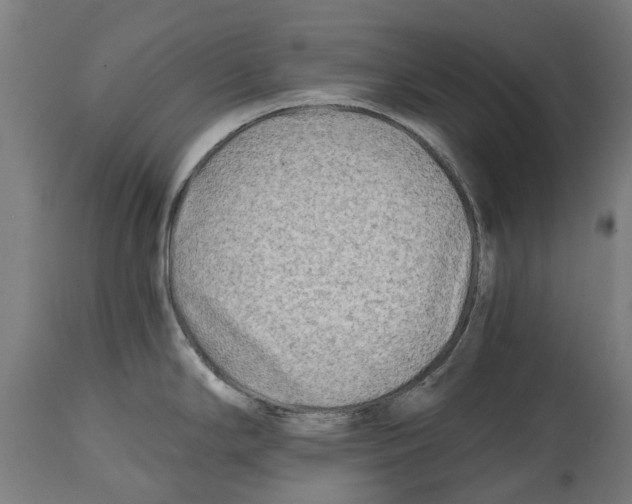 X0000114401294200911131357